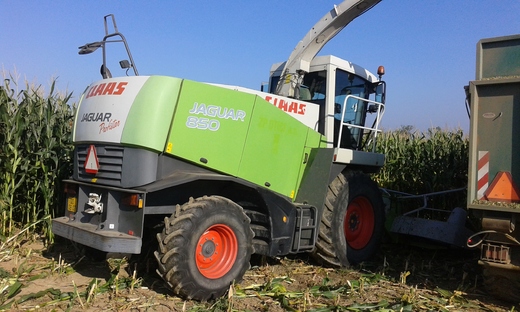 CLAAS JAGUAR 850 (2015)