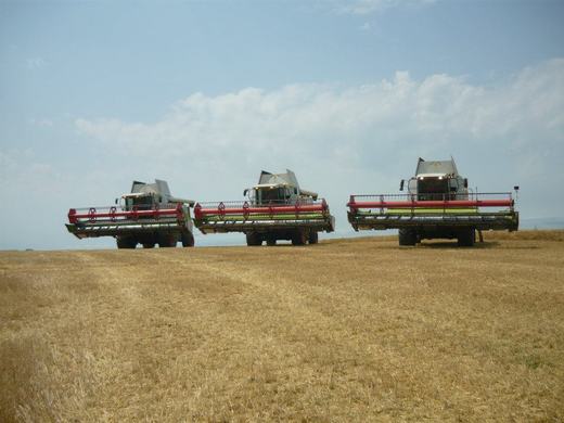 3 mlátičky CLAAS LEXION 480 (2011)