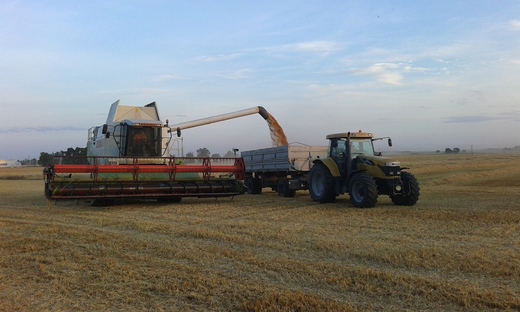 CLAAS LEXION 480