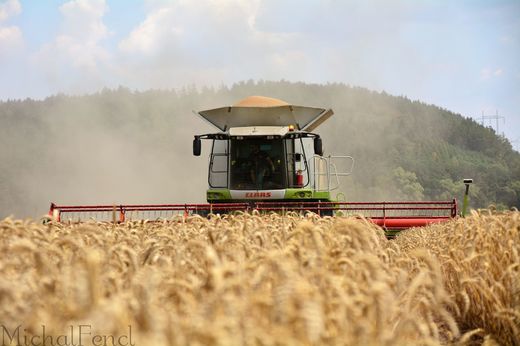 CLAAS LEXION 600 v akci (Fotografii nám zaslal Michal Fencl)