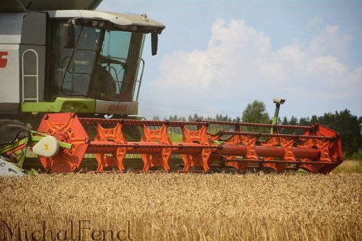CLAAS LEXION 600 v akci (Fotografii nám zaslal Michal Fencl)