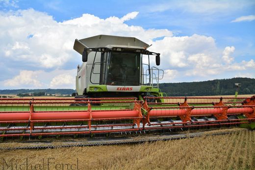 CLAAS LEXION 600 v akci (Fotografii nám zaslal Michal Fencl)