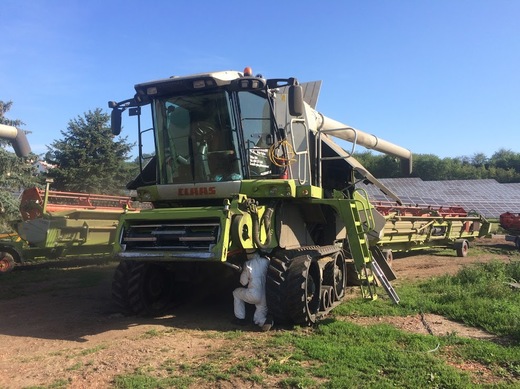 CLAAS LEXION 600TT