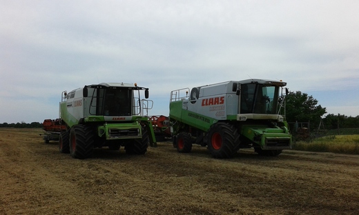 Class Lexion 480 a 600