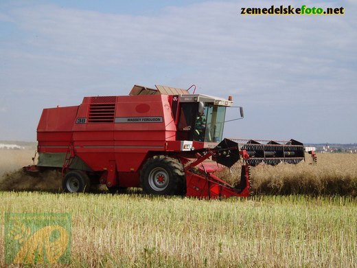 Massey Ferguson MF38 (2006)