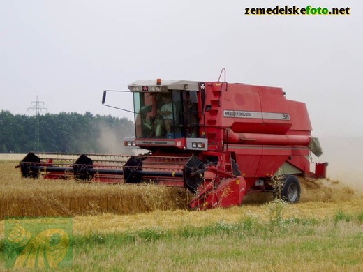 Massey Ferguson MF38 (2006)